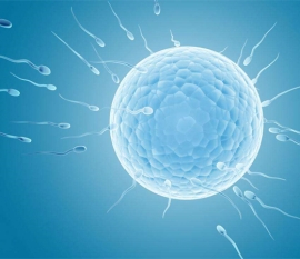 2022北京私立生殖医院试管婴儿费用明细及成功率参考