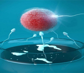 3aa囊胚质量好吗？成功率高吗？