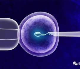 女性孕中期能做泡脚吗