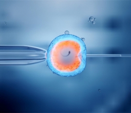 试管婴儿囊胚分几个等级