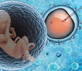 2022江苏试管助孕前10名医院名单来袭，江苏省妇幼夺得榜首